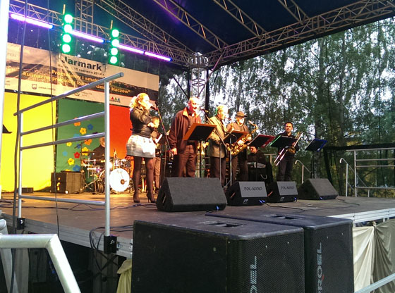 obs�uga pikniku kulinarnego